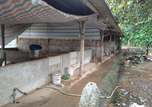 Nông dân 