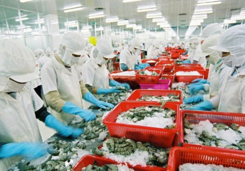 Tin vui cho thủy sản Việt: Hai doanh nghiệp được cấp phép xuất khẩu vào thị trường mới