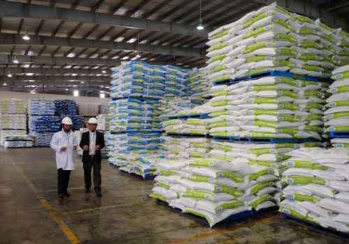 Nhập khẩu nguyên liệu và thức ăn chăn nuôi tiếp tục tăng trong năm 2023