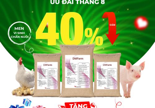 Giảm 40% khi mua men vi sinh DMFarm và tặng kèm môi trường pha tinh cho vật nuôi