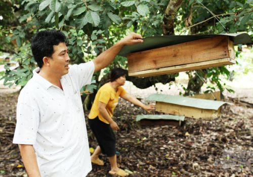 Một số thảo dược mới trong nuôi tôm