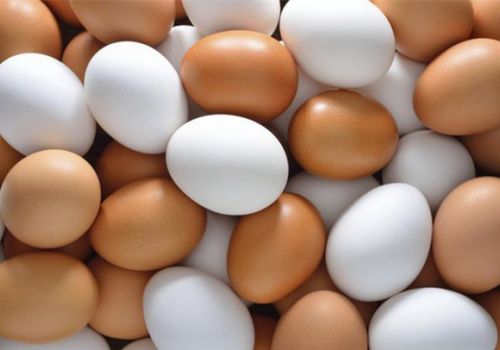 BÍ QUYẾT NUÔI GÀ ĐẺ TRỨNG THÀNH CÔNG
