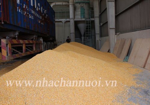 4 tháng đầu năm, nguyên liệu thức ăn chăn nuôi công nghiệp tăng 8,79%