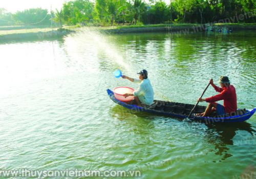 Lưu ý khi sử dụng BKC