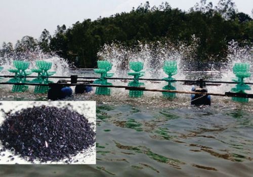 Những điều cần biết khi sử dụng KMnO4