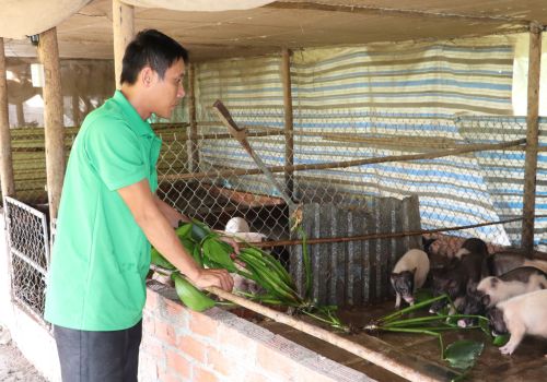 Hướng đi mới 