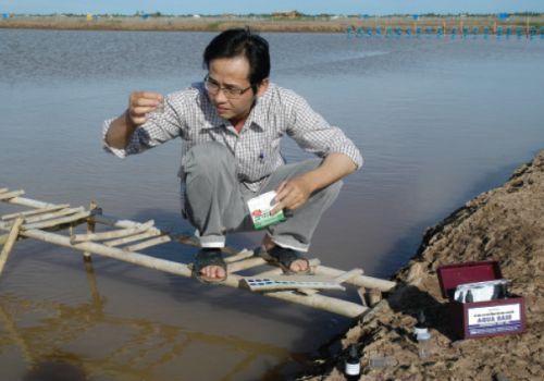 Giải pháp ổn định pH trong ao nuôi tôm