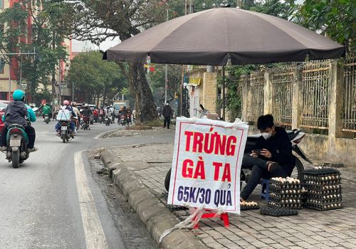 Vì sao giá trứng gia cầm xuống thấp?