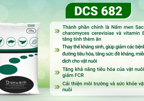 DCS 682 - Sản phẩm kích thích chăn nuôi cho nhà nông