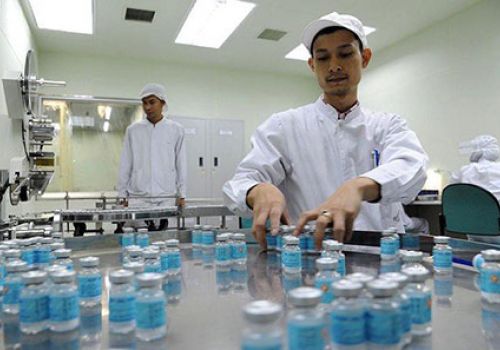 Sắp có vắc xin phòng dịch tả lợn châu Phi