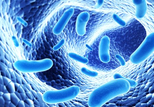 Cách lựa chọn sản phẩm probiotics tốt