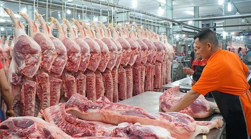 GIÁ HEO HƠI HỢP LÝ HAY CHƯA?