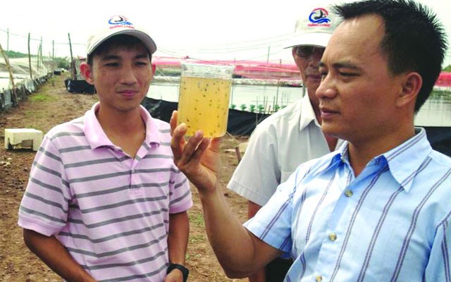 ap-dung-cong-nghe-nuoi-tom-theo-cong-nghe-biofloc-tai-viet-nam