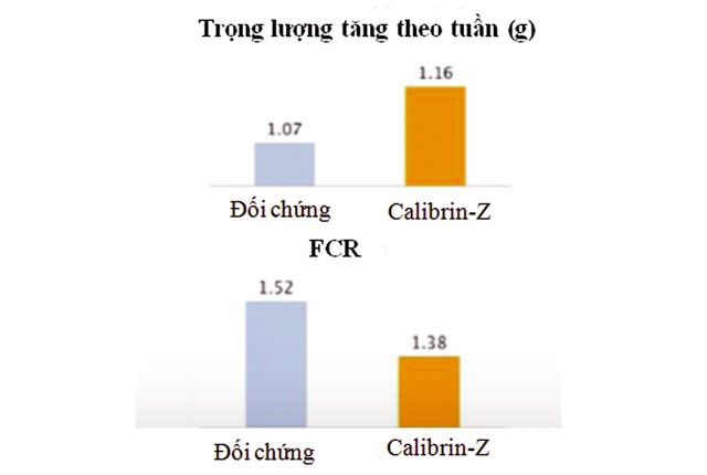 cai-thien-nang-suat-tom-02
