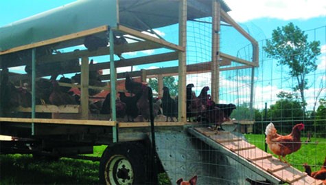 hình cuối