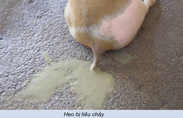 he