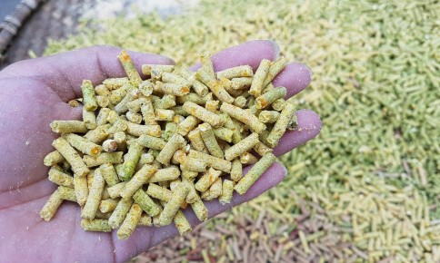 Phú Yên: Triển khai mô hình cơ giới hóa trong chăn nuôi