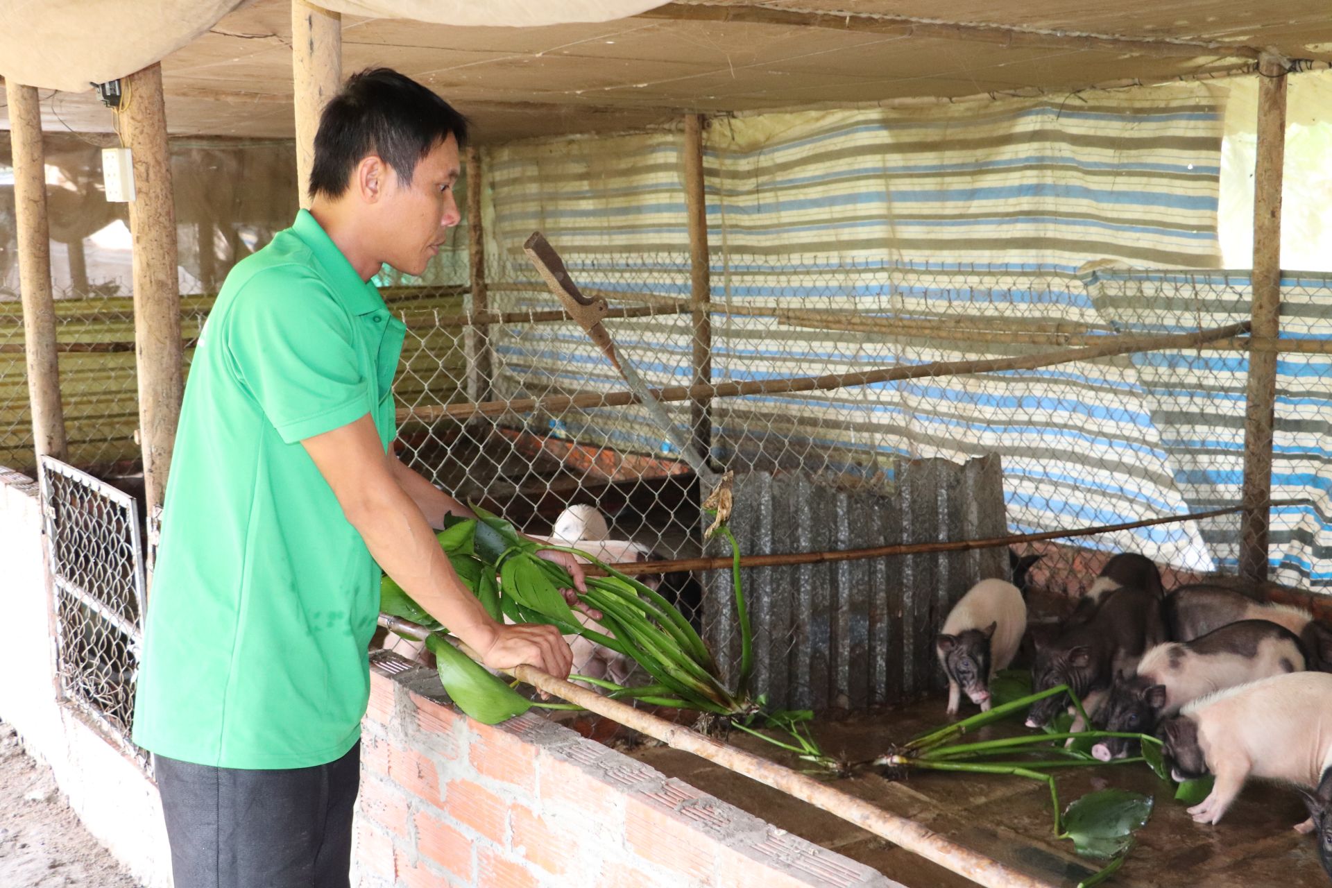 Hướng đi mới 