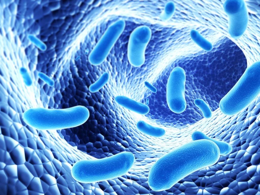 vi-khuan-probiotic-la-gi-2-cach-tang-cuong-probiotic-cho-co-the-infabiotix